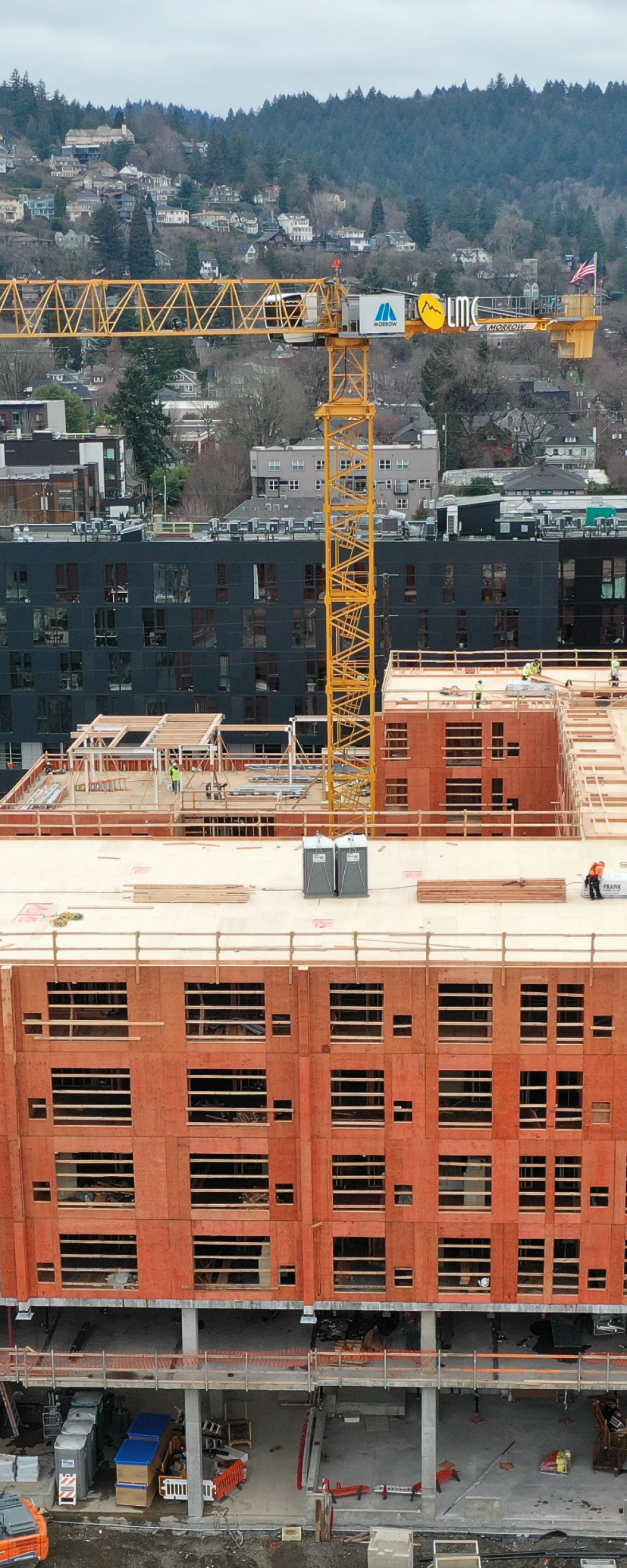 Untitled design - 2025-06-13T121638.992