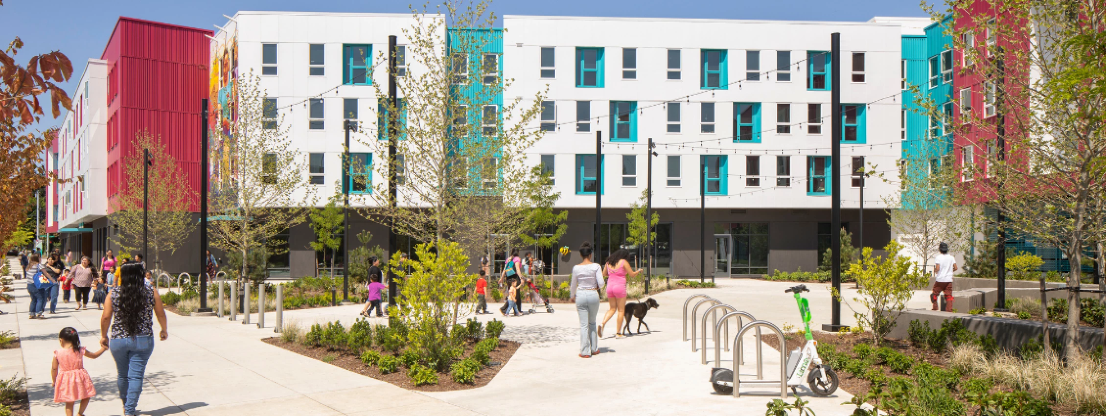 1130x425 project image lower (1)