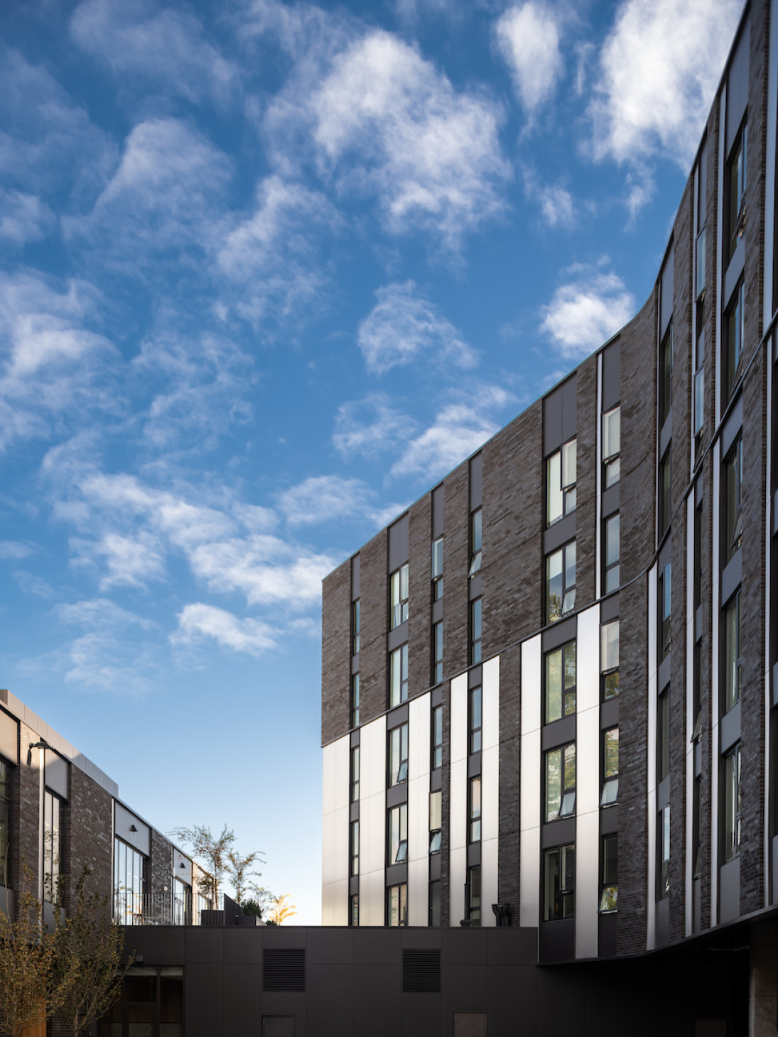 Nick Fish_Columbres_Web_13