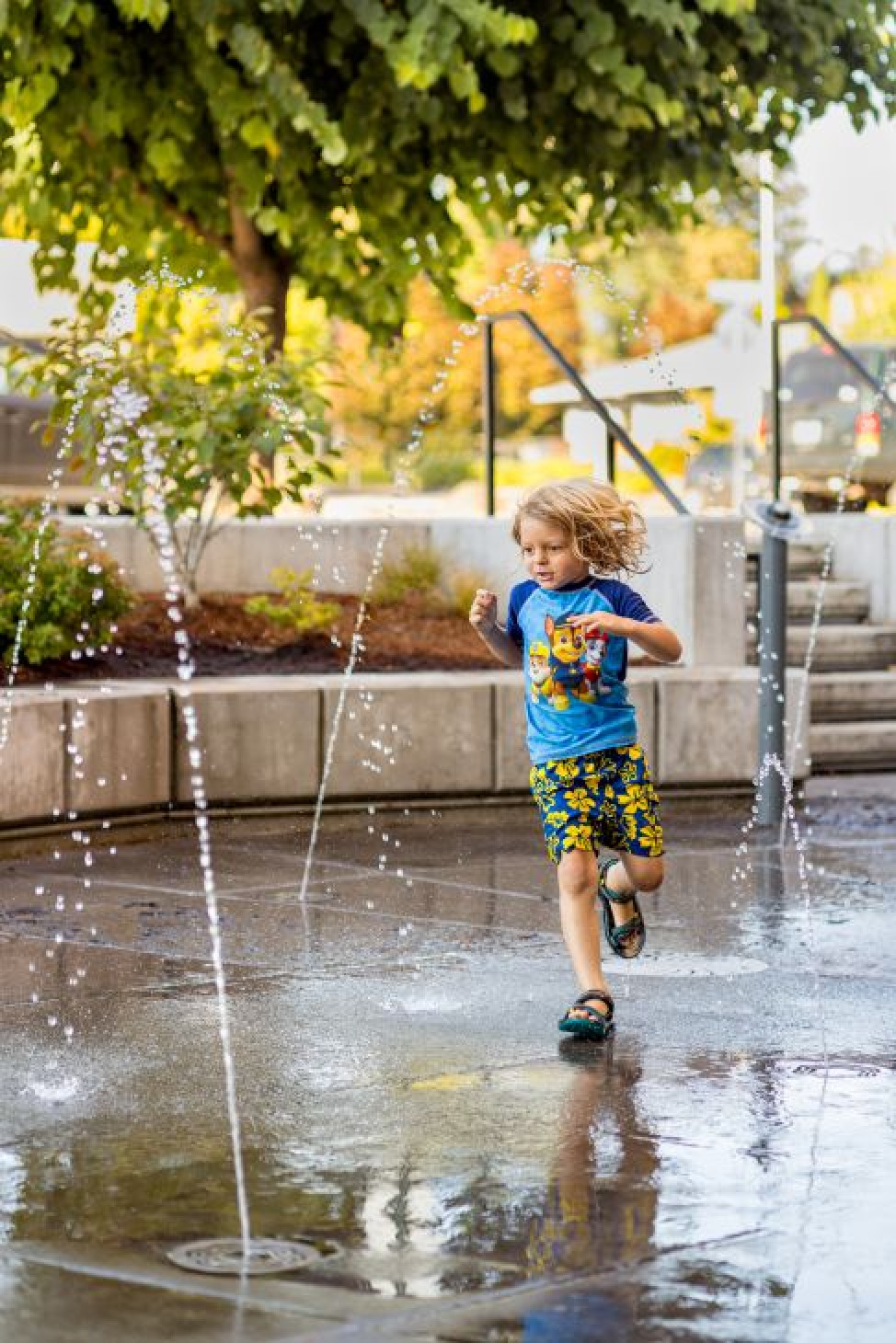 CedarGrove-JoshPartee-4770